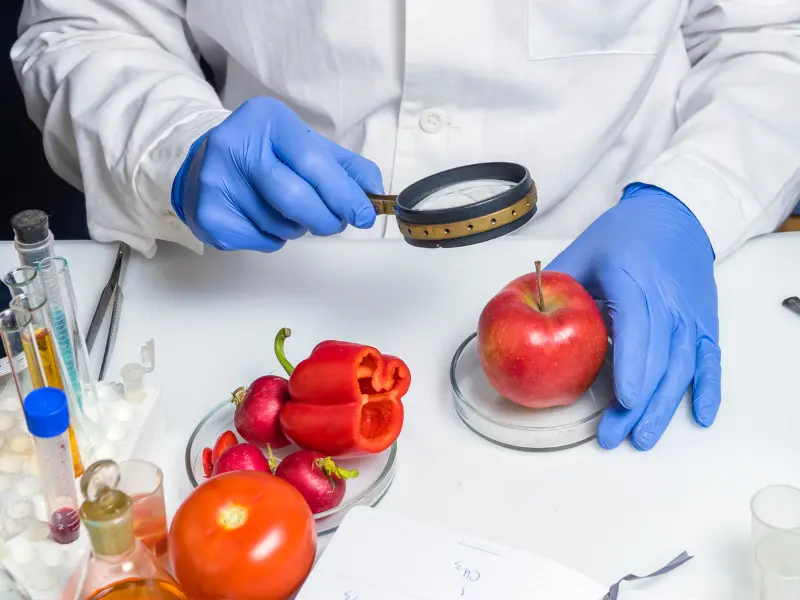 Food Safety Courses